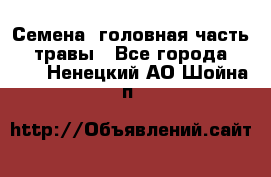 Семена (головная часть))) травы - Все города  »    . Ненецкий АО,Шойна п.